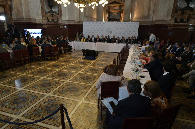 Manzur: “El debate le da al proyecto legitimidad democrática y popular”