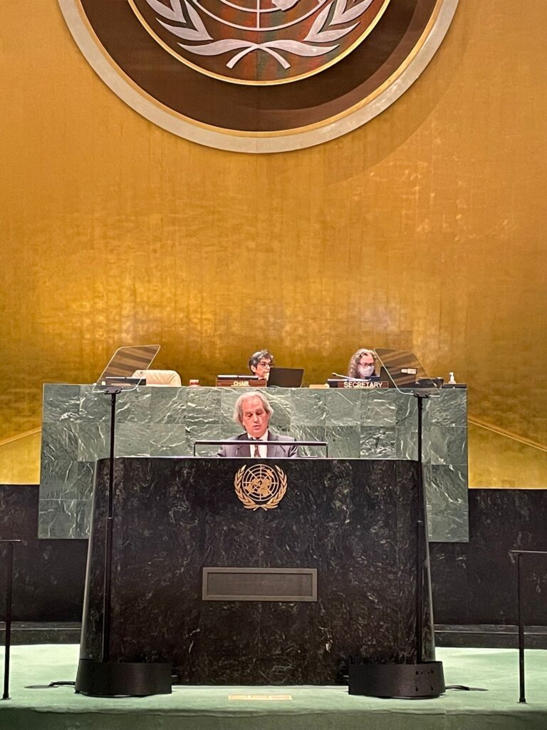 La Argentina participa del Primer Foro de Examen de la Migración Internacional en la ONU