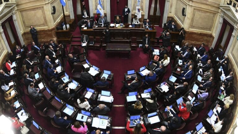 El Senado dio media sanción a la creación de un fondo para pagarle al FMI con dinero fugado al exterior