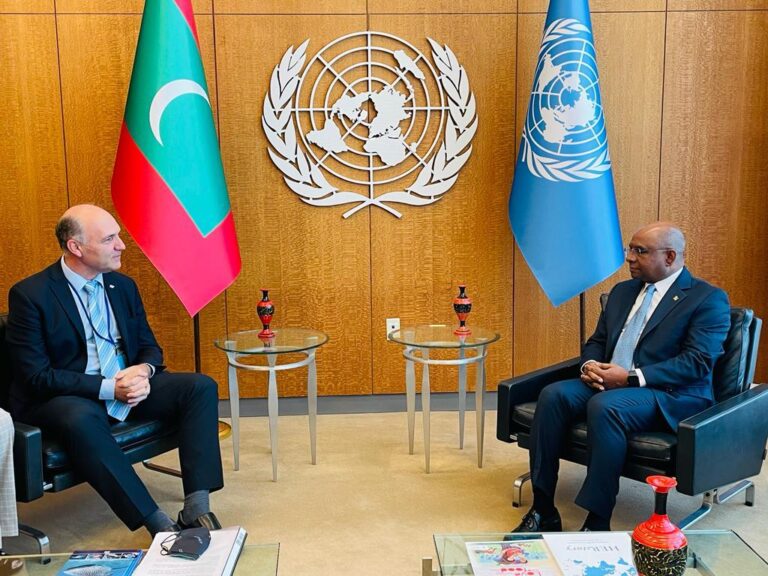 Misión del secretario Guillermo Carmona a Naciones Unidas