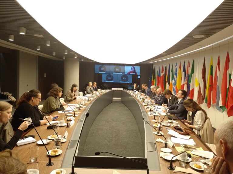 Diálogo local sobre Derechos Humanos y Género de la Argentina – Unión Europea