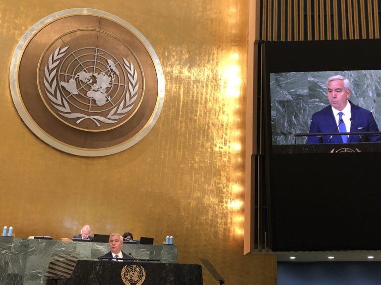 Villegas presentó el informe anual ante la ONU del Consejo de Derechos Humanos bajo la presidencia argentina