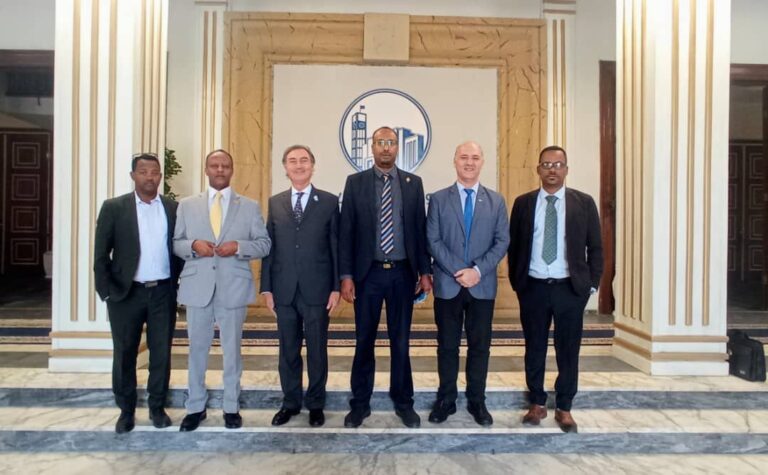 El Secretario Carmona participó de la 36° Cumbre de la Unión Africana (UA)