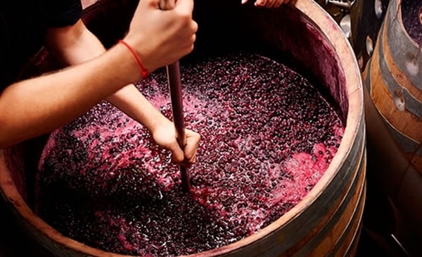 Argentina firma acuerdo para dar seguridad a nuestras exportaciones de mosto concentrado a EEUU