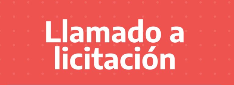 Llamado a licitación de LELITES, LEDES, LECER, BONCER y BONO DÓLAR LINKED
