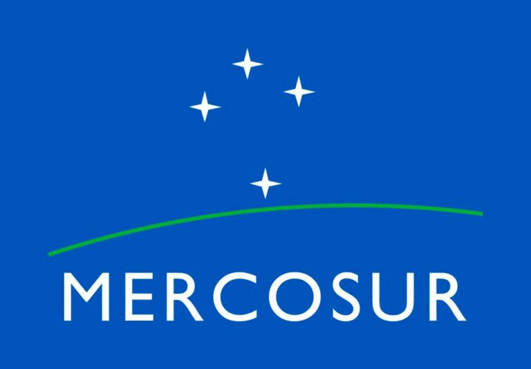 Cumbre Social del Mercosur