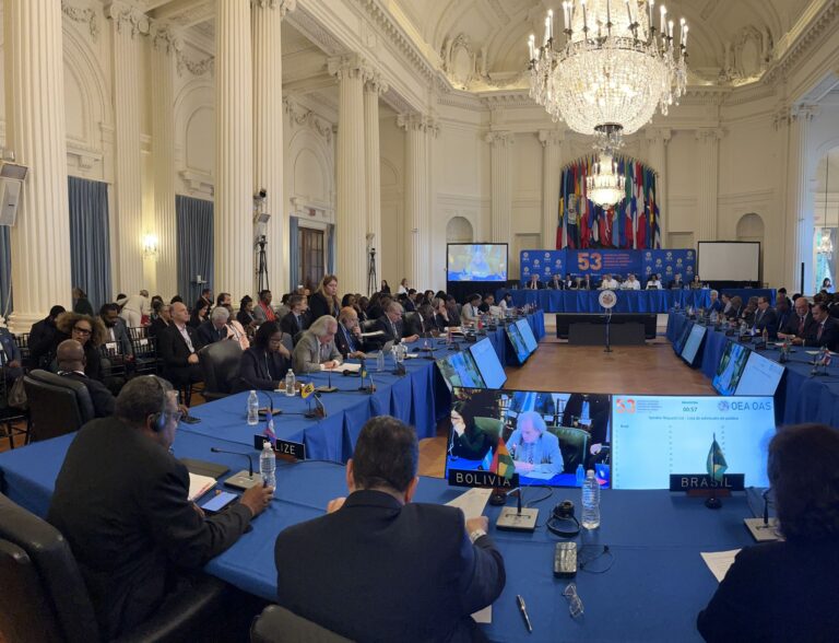 La OEA aprobó Declaración sobre la Cuestión de las Islas Malvinas y eligió a Andrea Pochak para integrar la CIDH