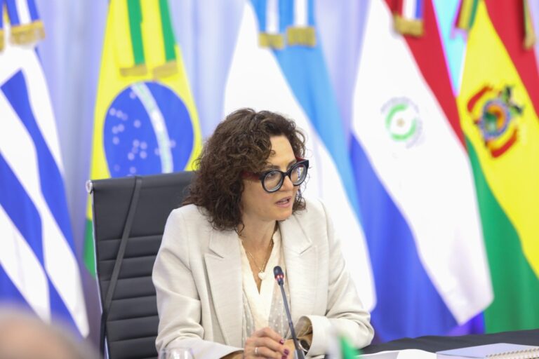 Todesca Bocco brindó un informe acerca de los trabajos desarrollados por el Grupo del Mercado Común del MERCOSUR durante la PPT Argentina