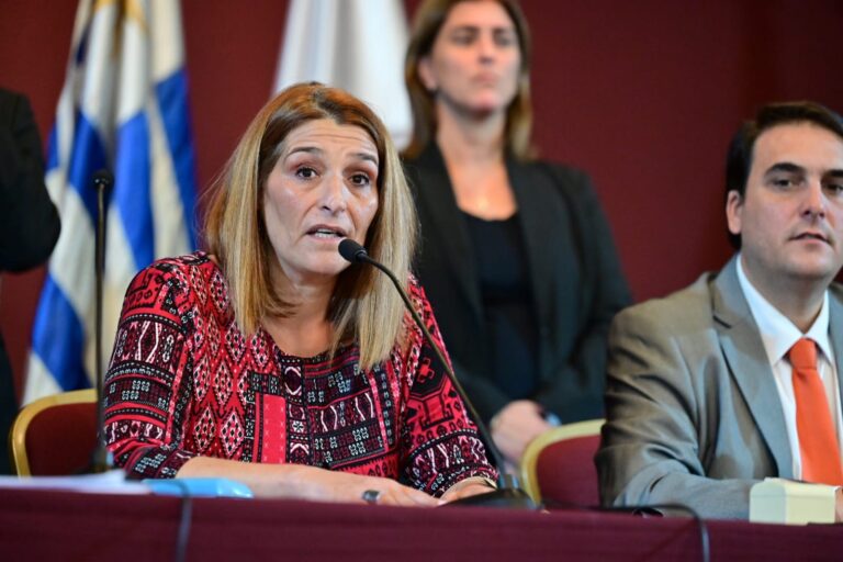 Parlamentaria argentina Fabiana Martín asume como Presidenta del PARLASUR