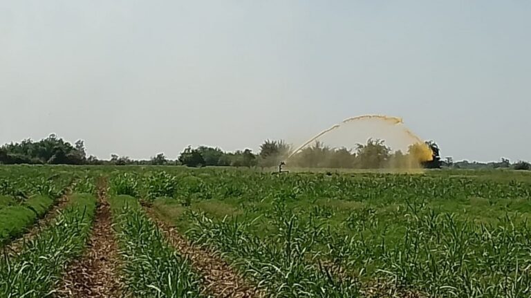 La Subsecretaría de Ambiente de la Nación supervisó industrias sucroalcoholeras para prevenir la contaminación de la cuenca Salí-Dulce